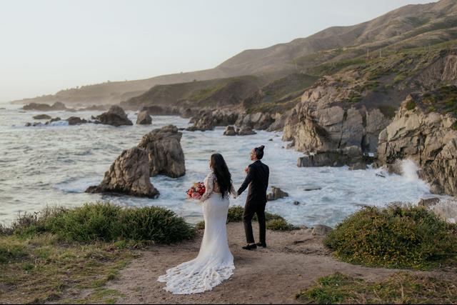 Lynn Lewis Photography - 1