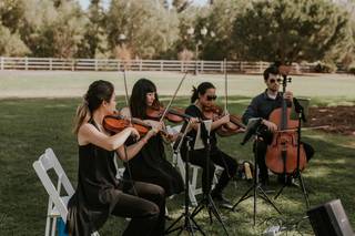 Clover String Quartet - 7