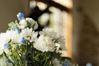 Perkasie florist - 5