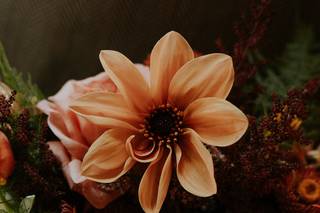 Lacy Marie Photography - 5
