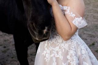 Summer Star Ranch - 14