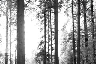 Vivi Lin Photography - 8