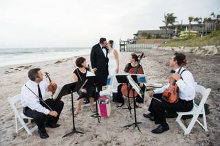 Ocean Strings / Ocean String Quartet - 34