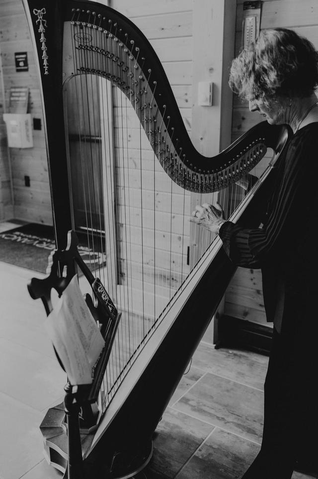 Milwaukee Harpist - Mary E Keppeler - 2