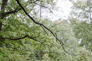 Portico - Awbury Arboretum - 12