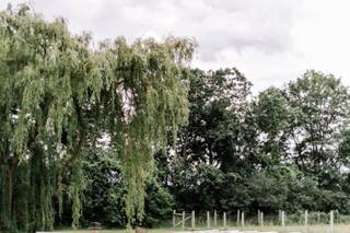 Buckley Farm - 6
