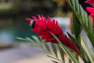 Laura Pittman Photography - 8