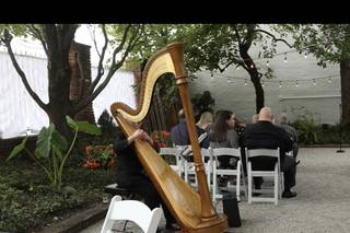 Debbie Beck - Harpist - 9