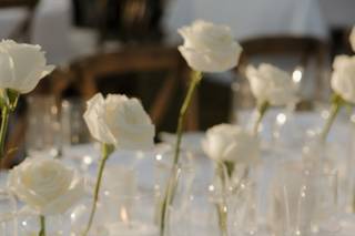 Beautiful Savage Flowers - 11