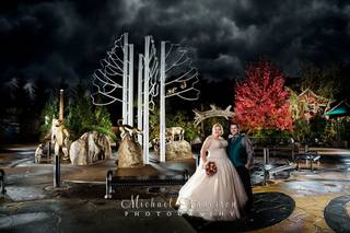 Michael Anderson Photography - 16