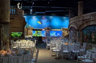 Atlantis Banquets & Events - 9