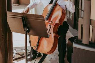 Ryan Smith Cello - 6