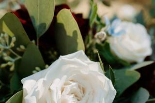Blooms - 8
