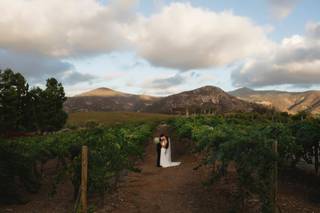Brant Bender Photography - 8