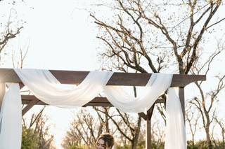 Bee Wild Designs - 10