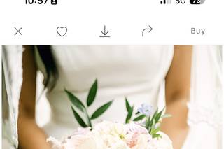 Bella Flowers - 15