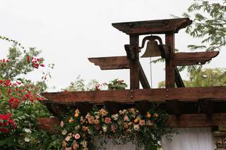 Lorraine's Flowers - 10