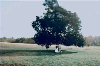 LIVEMORE Weddings - 4