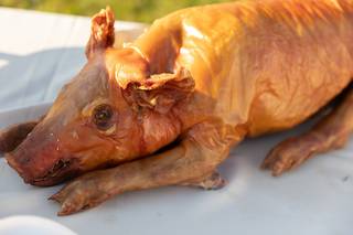 Gance's Complete Catering - 8