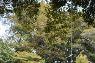Bartram's Garden - 7