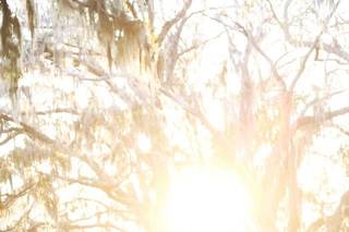 April Meachum Photography - 34