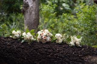 Blue Stream Photography - 7