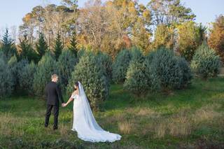 Taun Henderson Photography & Film - 5