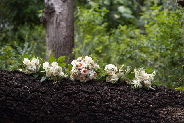 Blue Stream Photography - 4