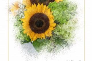 Beautiful Day Planning - 37