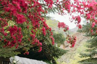 Jessa E Photographs - 9