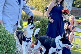 Wedding Puptials - 14