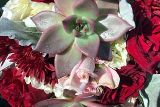 Carousel Flowers - 153