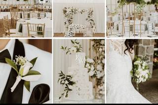 Amore Coordination - 14