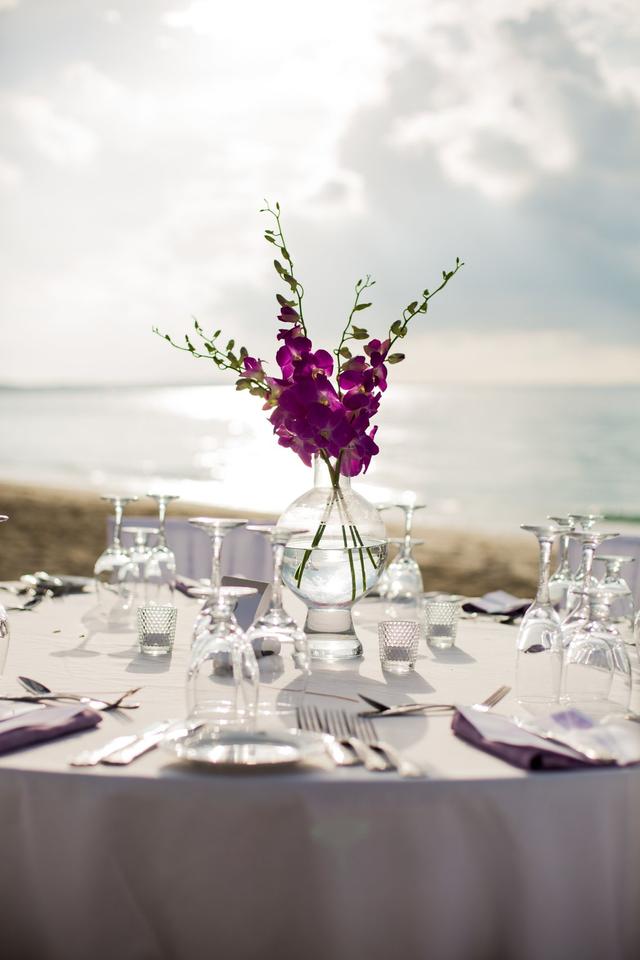 Erin Peters Photography - 2
