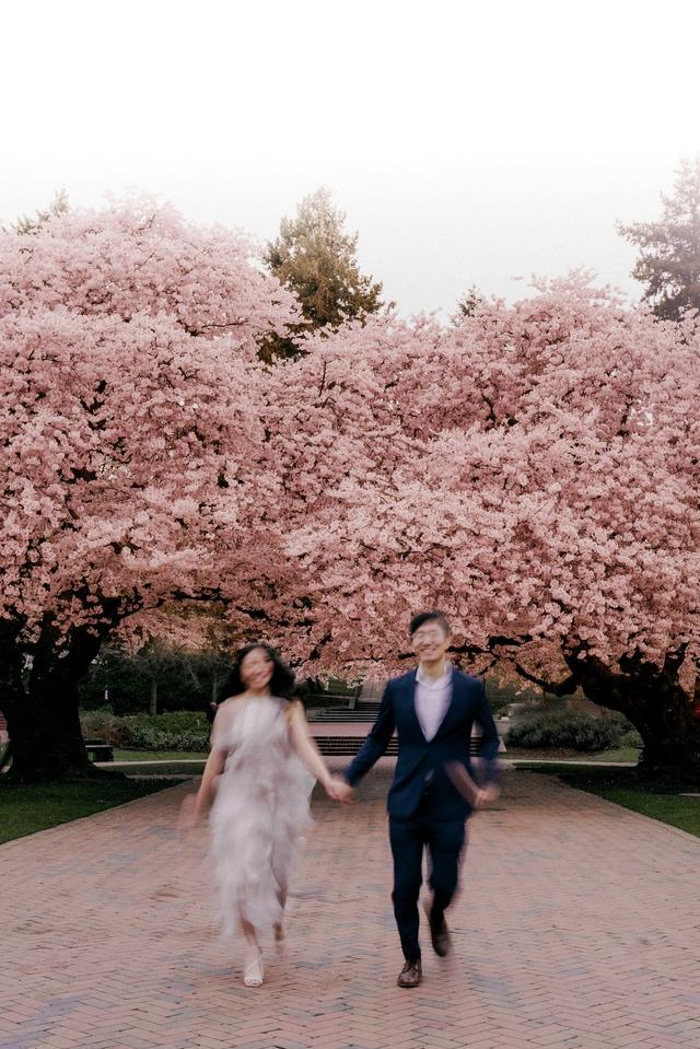 Oxy Sakagami Photography LLC - 2