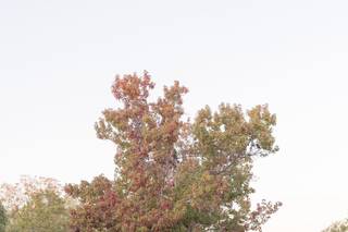 The Orchard at Caney Creek - 35