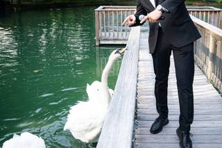 DAVAI Private Events - 6