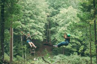 Timber Lake Camp - 10