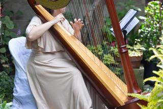 Beverly Arnold, Harpist - 9