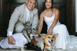 I Dog Too - Wedding Pet Attendant - 7