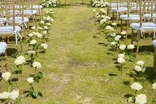 The Proper Setting - 36