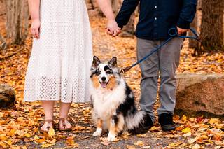 Lexi & Matt Photography - 7