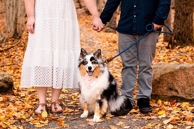 Lexi & Matt Photography - 4