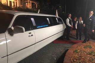 Elegant Limousines & Wedding Services - 18