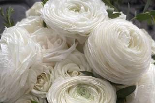 Blooming Flowers - 35