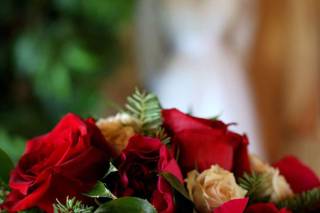 St. Ignace In Bloom - 51