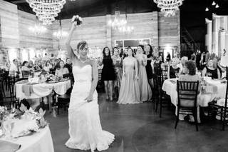 Cape Fear Vineyard and Winery - 17