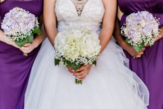 McBride Pictures - 68