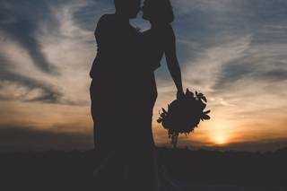 Yellow Horse Photography - 14