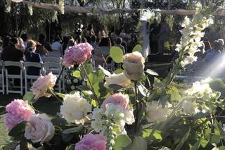 Lovely Peonies - 136